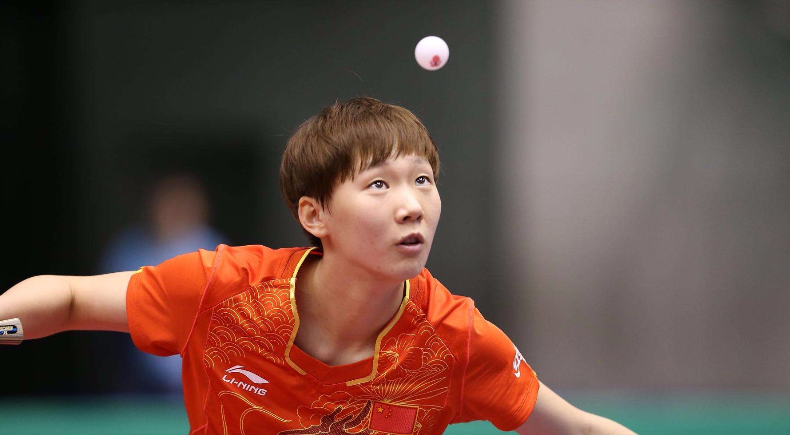 拥有极强的 拥有极强的