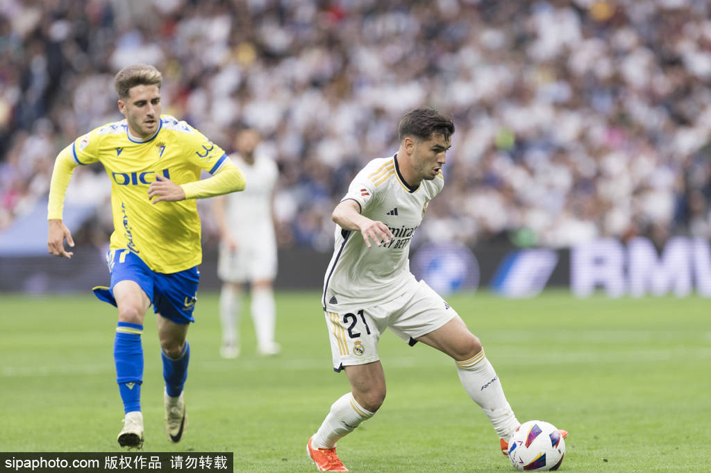 公司去年组 公司去年组